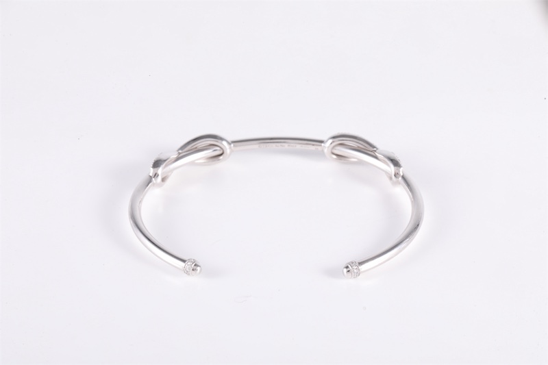 TIFFANY&CO(蒂芙尼)  18K白金 鑽石 白金 Infinity 系列無限雙環手鐲 手鐲 18k拼 18K-2