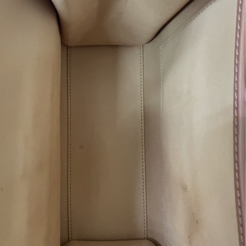 Delvaux德爾沃Temtepe pm 奶茶色金扣-9