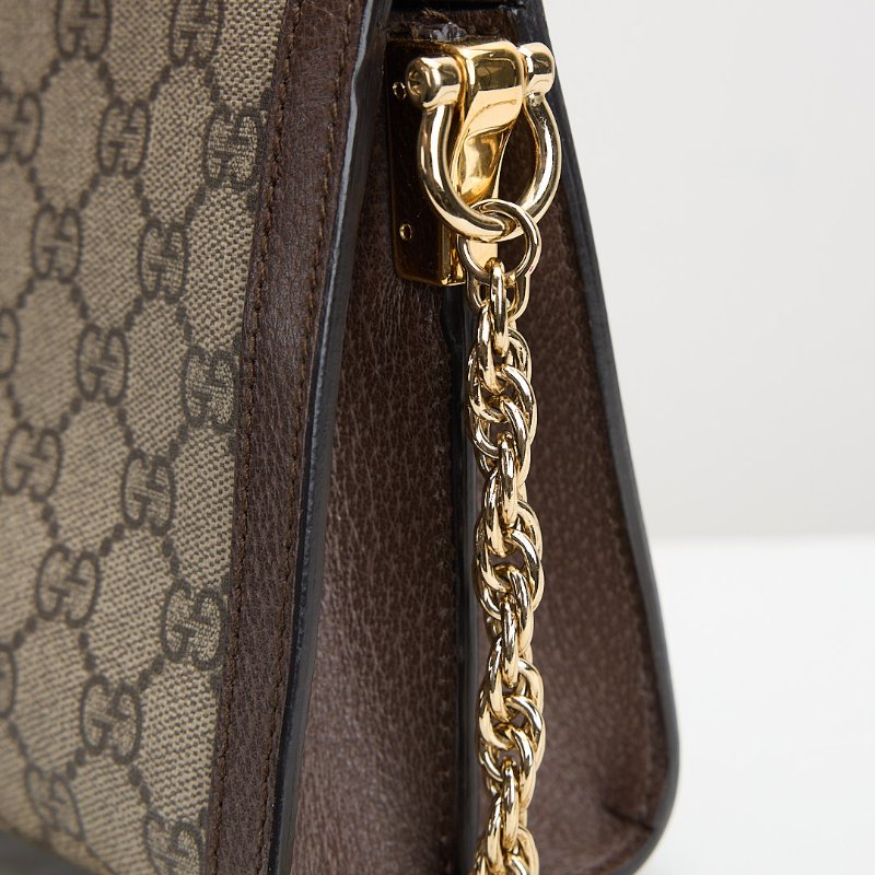 Gucci Ophidia 小號鍊包-17