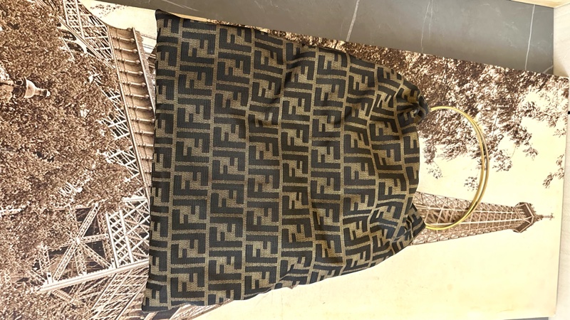 🩵 Fendi 老花袋 monogram bag-3