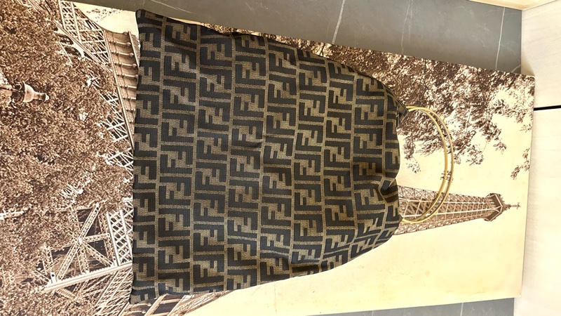 🩵 Fendi 老花袋 monogram bag-4