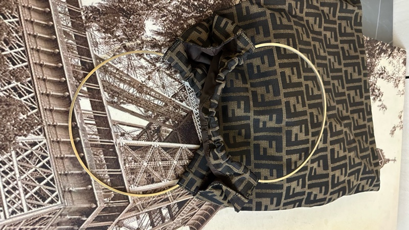 🩵 Fendi 老花袋 monogram bag-7