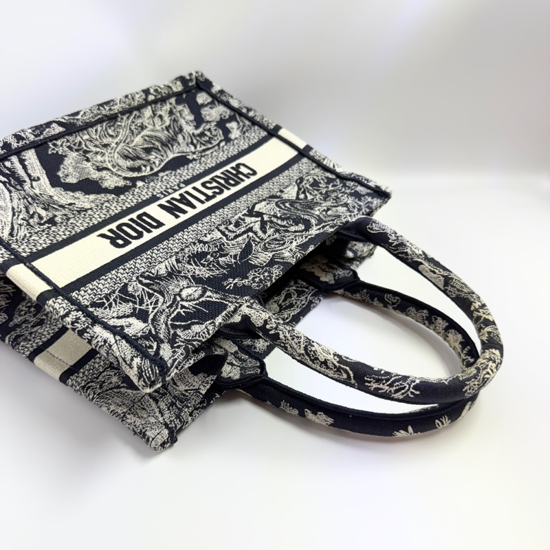 DIOR Book Tote托特包小號-5
