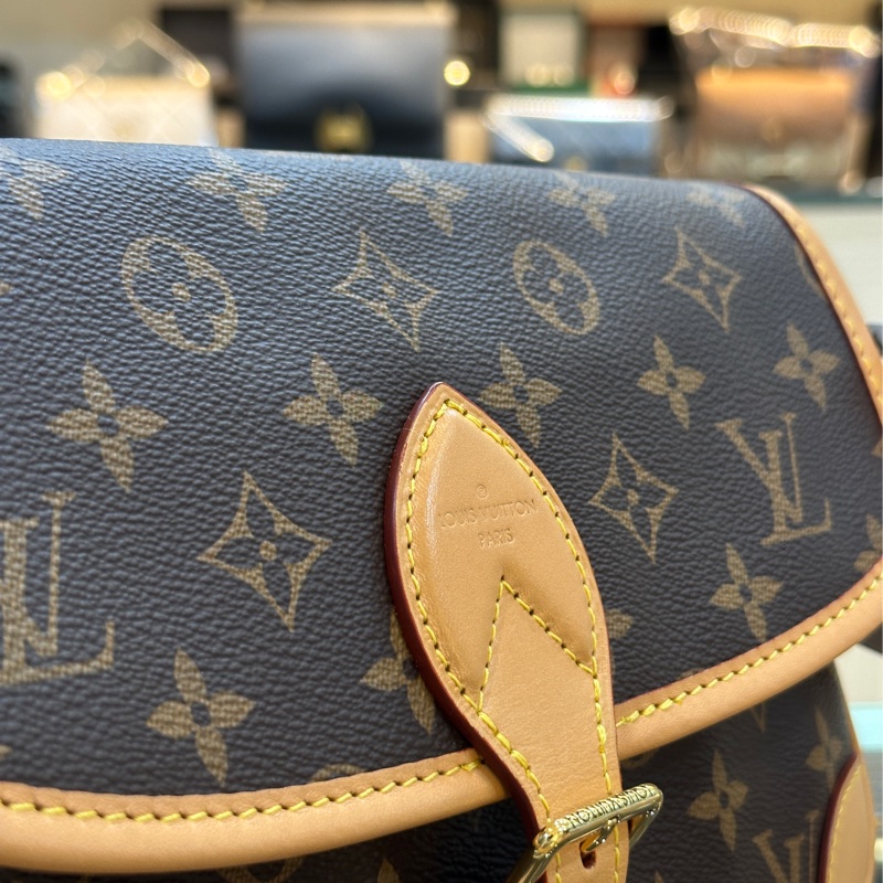 🈶購證 #閒置新全網最低 #秒殺爆款 Lv新款法棍包 經典老花雙背袋Diane-11