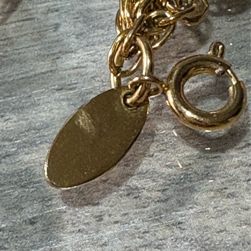 Chanel 經典大logo絞絲鏈項鍊-9