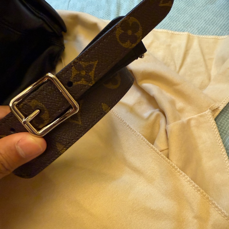 LV carryall vibe  cargo小號-1