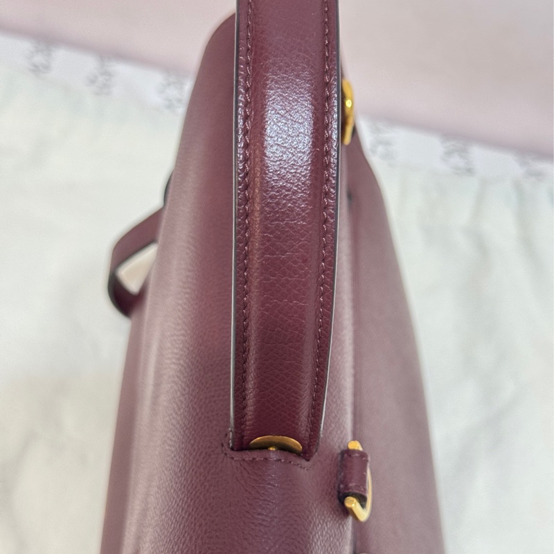 Celine 鯰魚包 勃艮第色-5