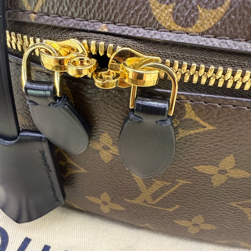 Louis Vuitton Vanity Handbag-12