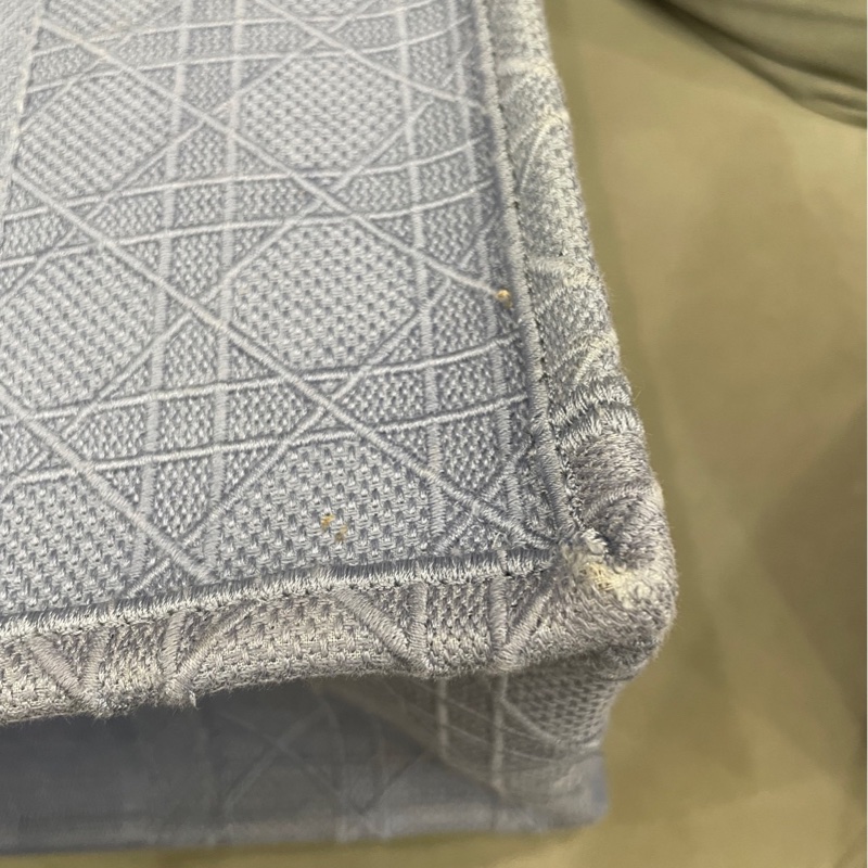 DIOR 霧霾藍tote托特中號-16