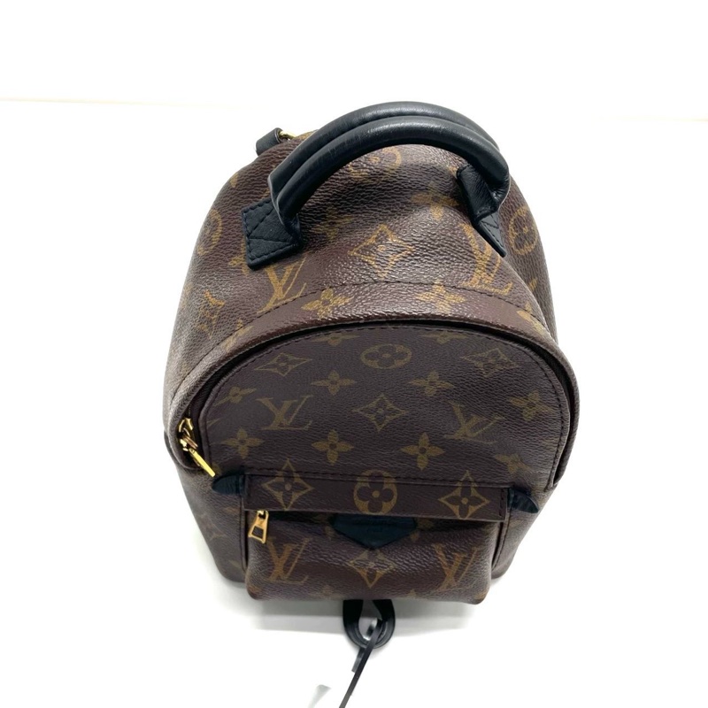 LV PLAM SPRING MINI-2