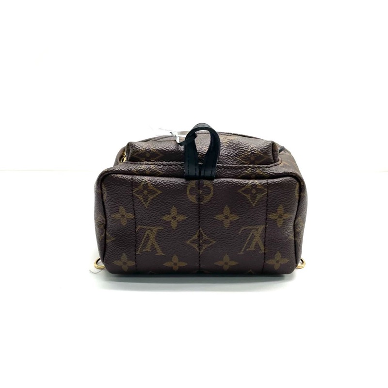 LV PLAM SPRING MINI-3