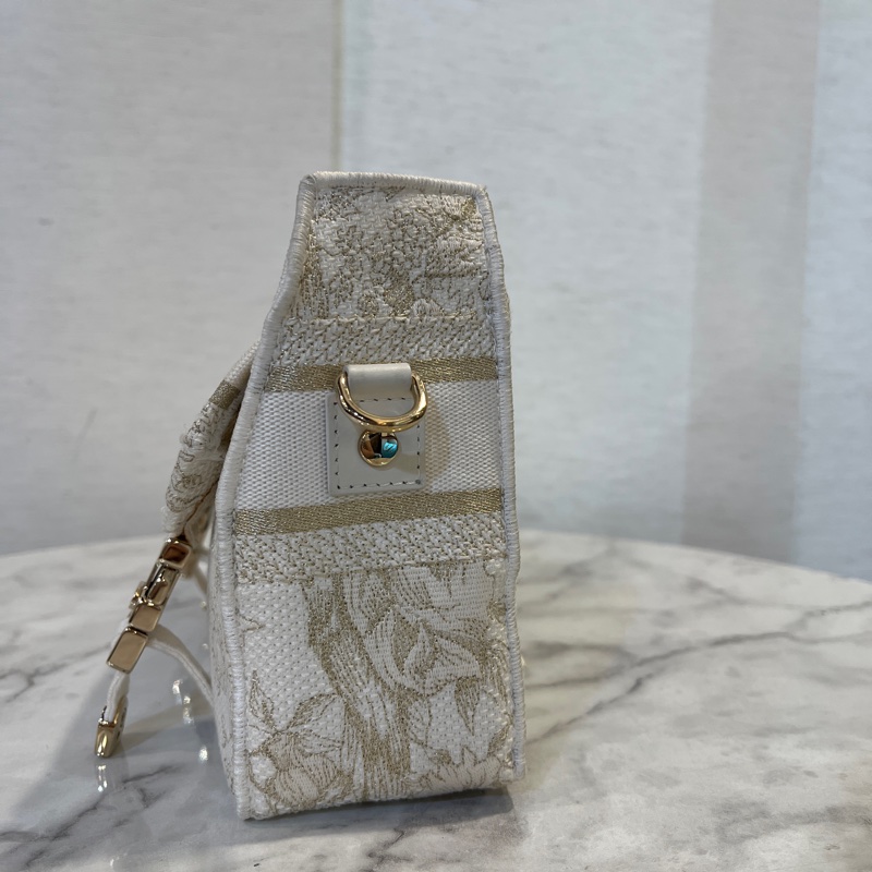 Dior 白帆布刺繡Camp小號斜背信差包-3