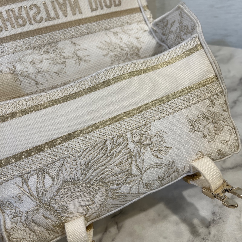 Dior 白帆布刺繡Camp小號斜背信差包-10