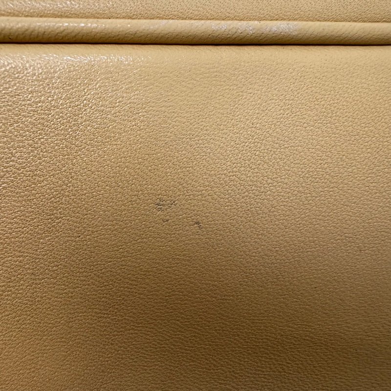 Chanel 玳瑁提把手提袋-17