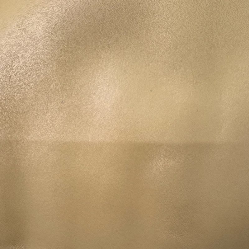 Chanel 玳瑁提把手提袋-18