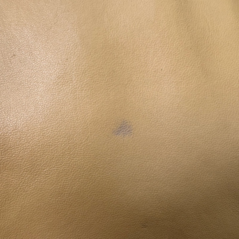 Chanel 玳瑁提把手提袋-20