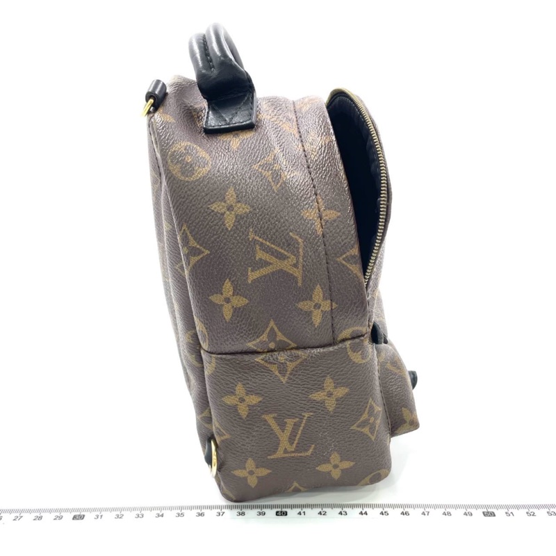 Louis Vuitton PLAM SPRING mini-1