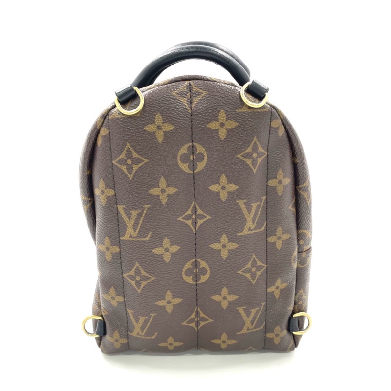 Louis Vuitton PLAM SPRING mini-2