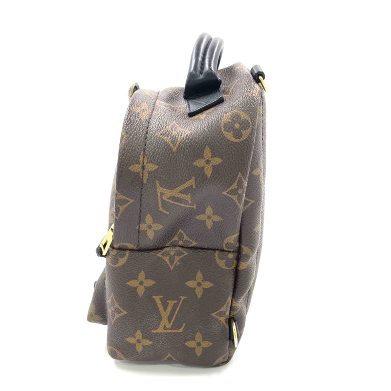 Louis Vuitton PLAM SPRING mini-3