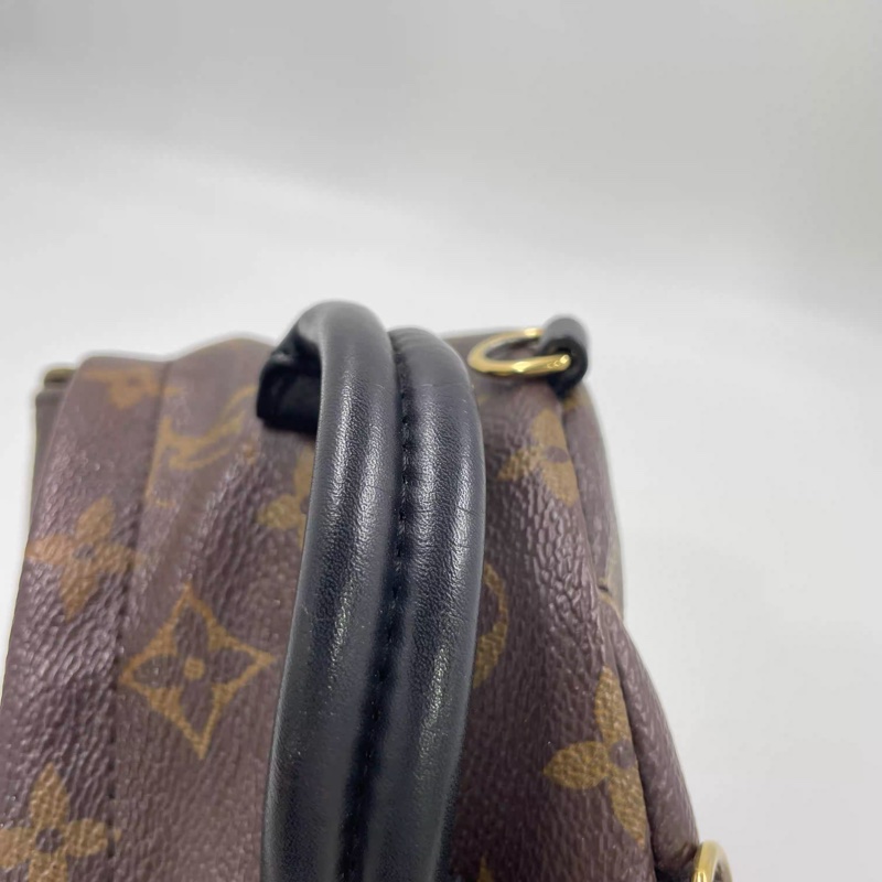 Louis Vuitton PLAM SPRING mini-13
