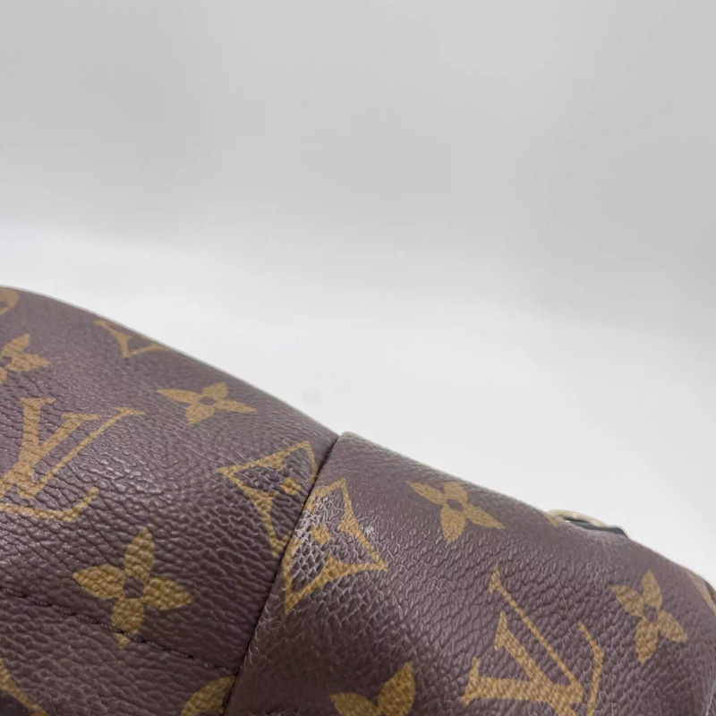 Louis Vuitton PLAM SPRING mini-14
