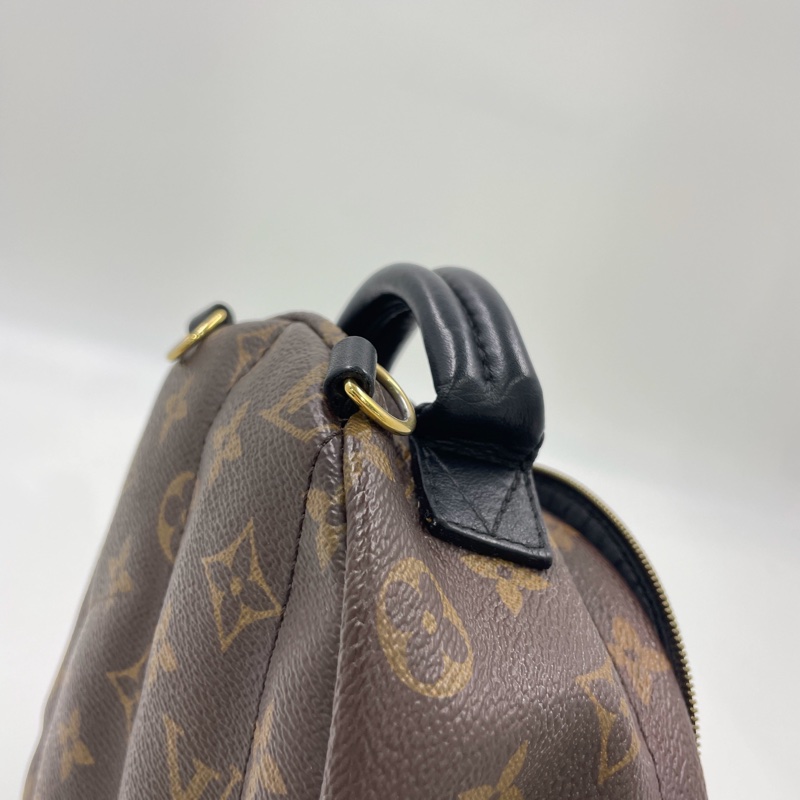Louis Vuitton PLAM SPRING mini-21