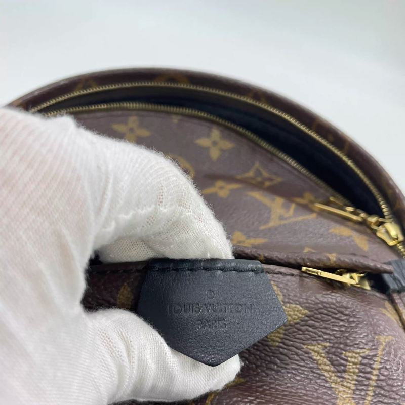 Louis Vuitton PLAM SPRING mini-23