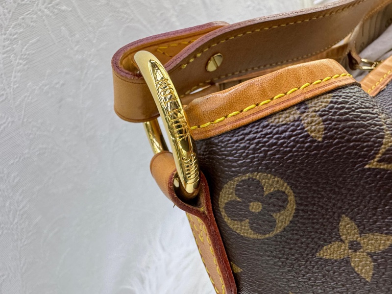 Louis Vuitton Monogram Delightful PM Bag-6