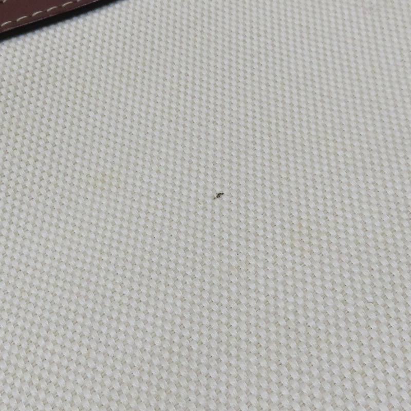 白色帆布 棕色牛皮 Mini Pocket 兩用包 8028062-16