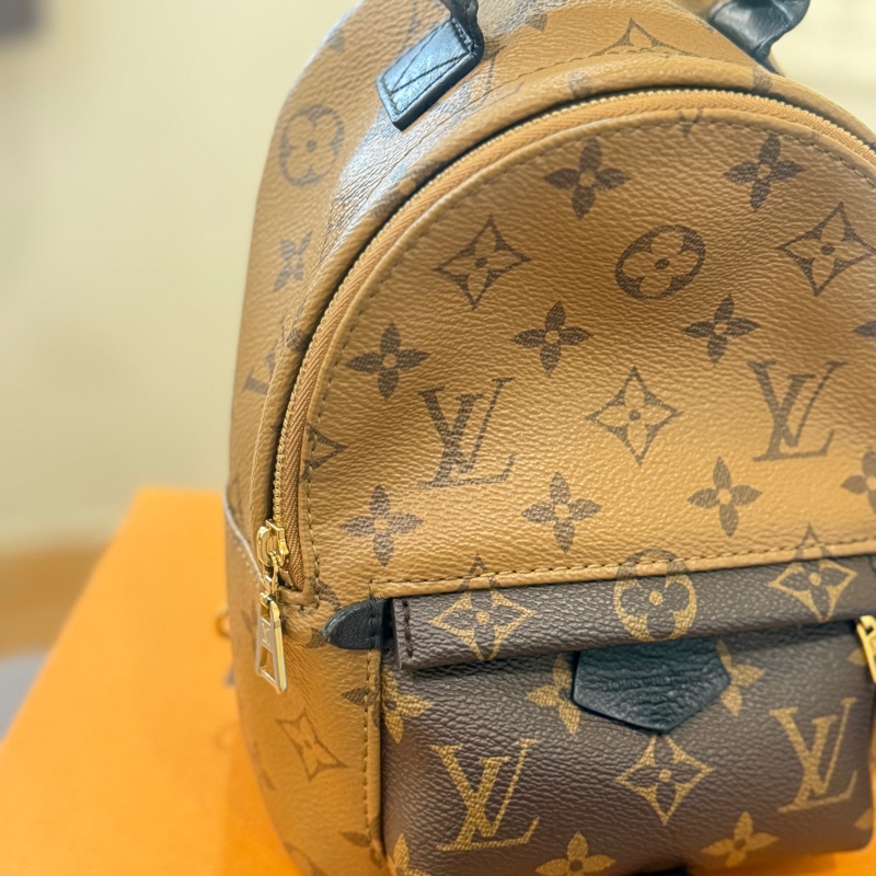 louis vuitton palm springs mini新款拉鏈-1