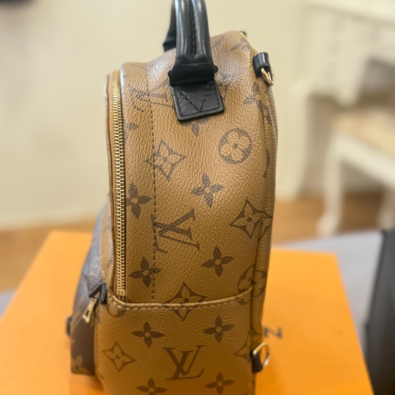 louis vuitton palm springs mini新款拉鏈-5