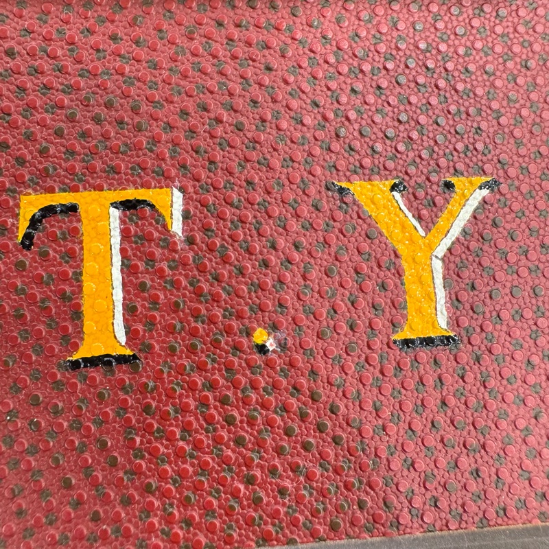 Louis Vuitton 硬箱 紅皮革旅行箱-9