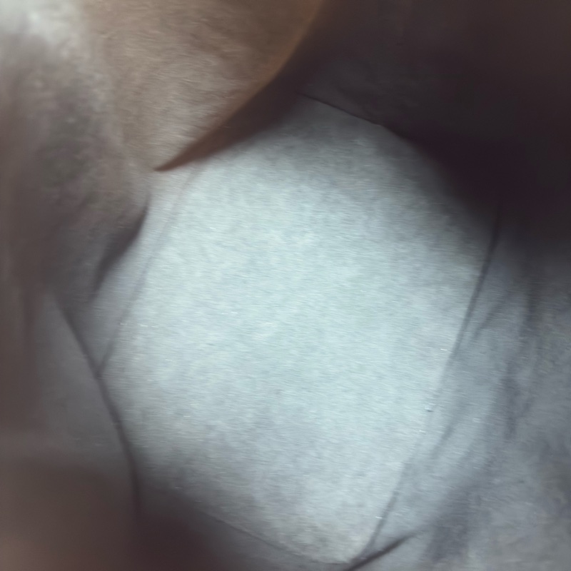 ✔️LOUIS VUITTON LV 路易威登 Epi Noe M59012 水波紋水桶包／黑色-27