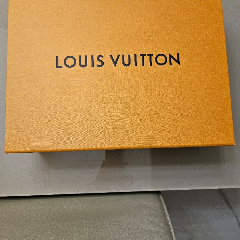 LV楔形跟涼鞋-10