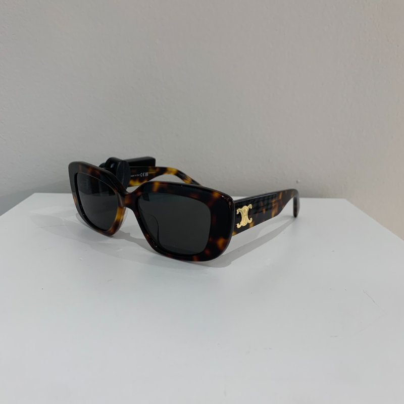 Celine CL40216經典款 玳瑁色凱旋門太陽眼鏡 全新全配-3
