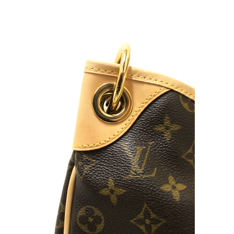 Louis Vuitton Classic Monogram Galliera PM Hobo Shoulder Bag-6