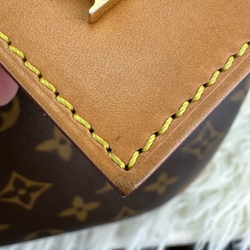 LV Boîte Chapeau Souple MM 老花大圓餅 晶片款單肩斜肩包-6