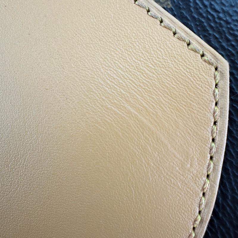 LV Boîte Chapeau Souple MM 老花大圓餅 晶片款單肩斜肩包-9