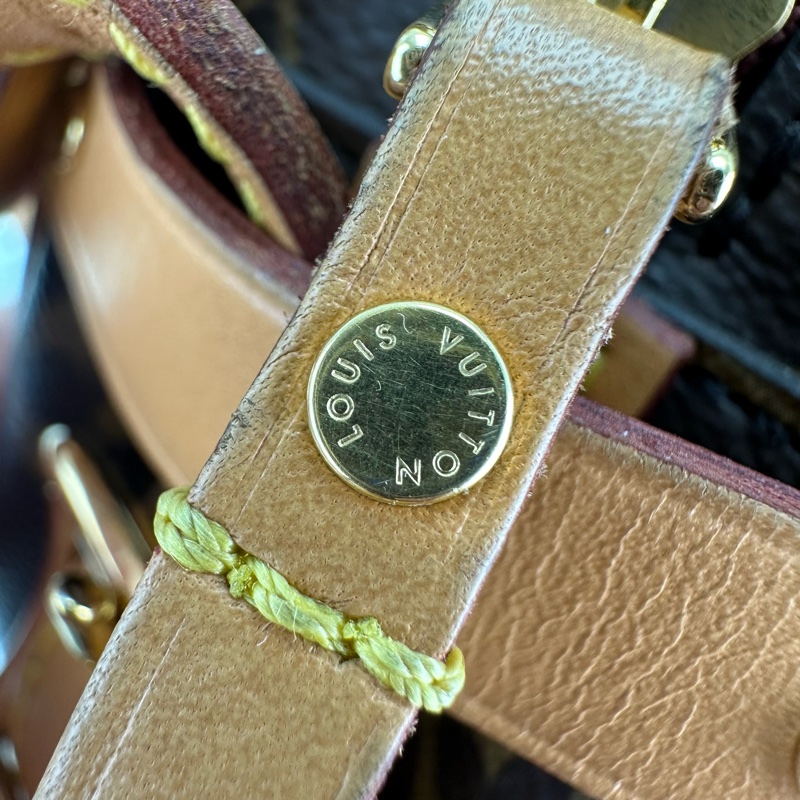 LV Boîte Chapeau Souple MM 老花大圓餅 晶片款單肩斜肩包-23