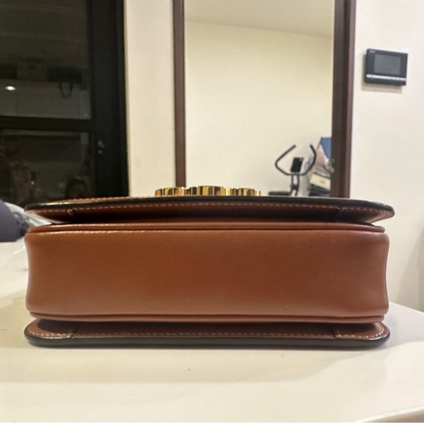 Celine CLASSIQUE TRIOMPHE標誌印花手袋-11