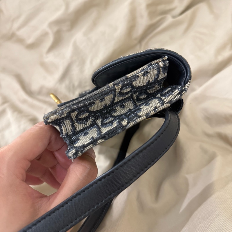 Dior saddle 老花腰包-8