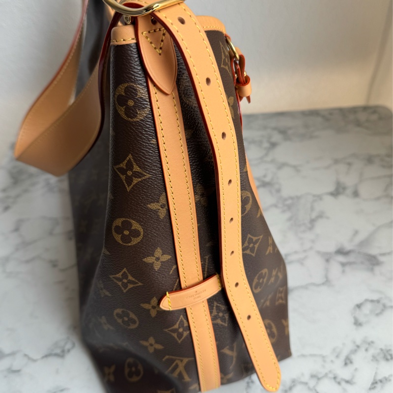 LV carry all大款-2