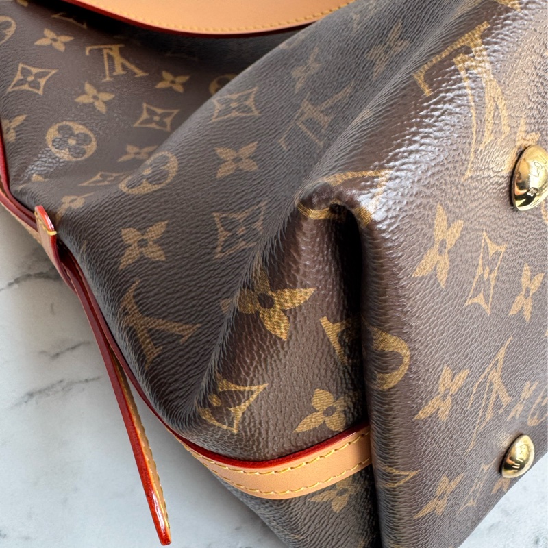 LV carry all大款-6