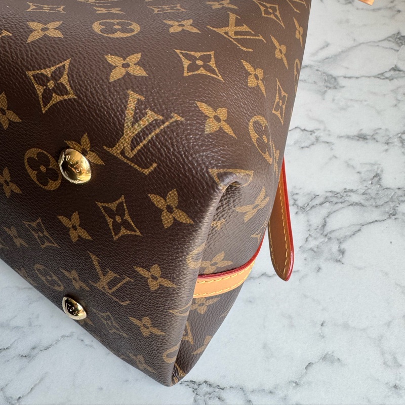 LV carry all大款-9