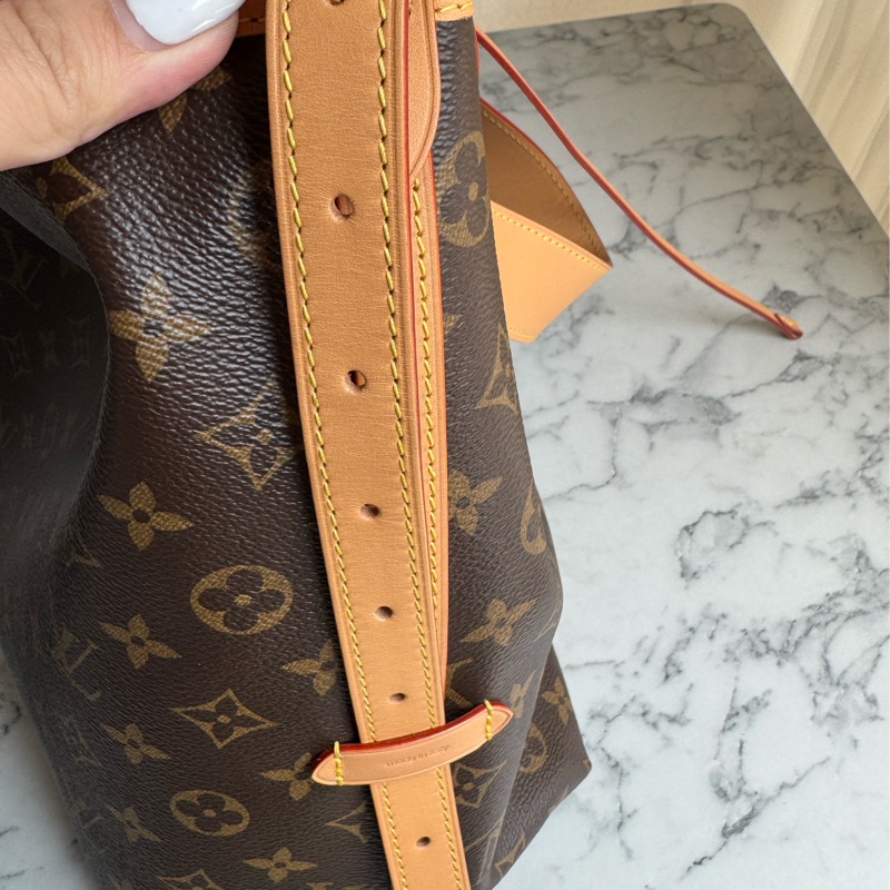 LV carry all大款-16