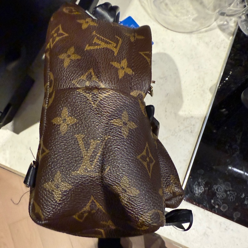 LV PLAM SRRING MINI-3