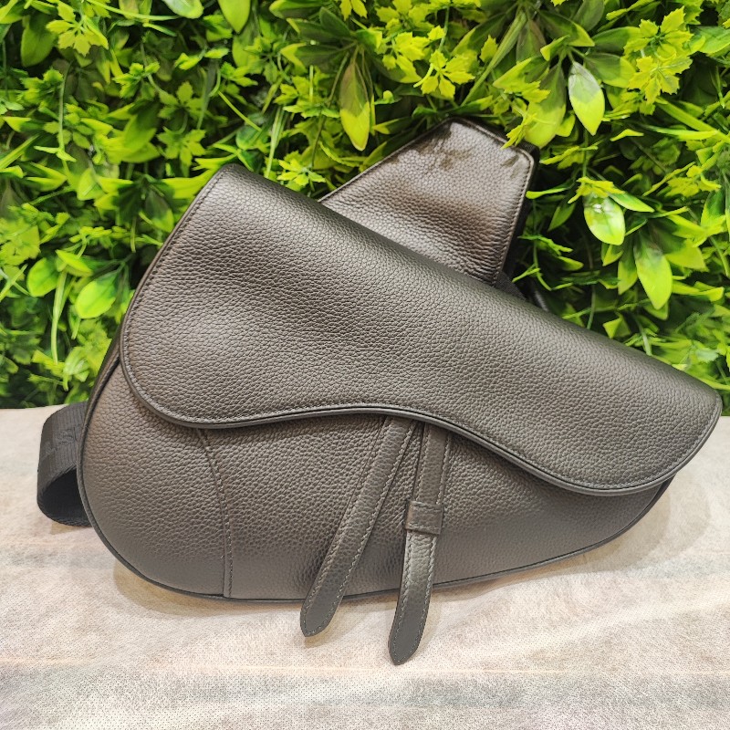 Dior Saddle Bag-0