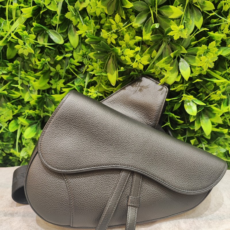 Dior Saddle Bag-2