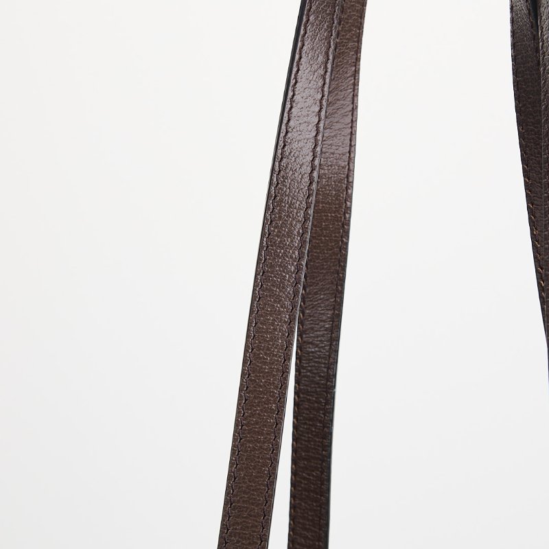 Gucci Ophidia中號托特包-13