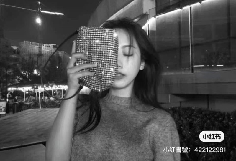 Alexander Wang 經典鑽包-6